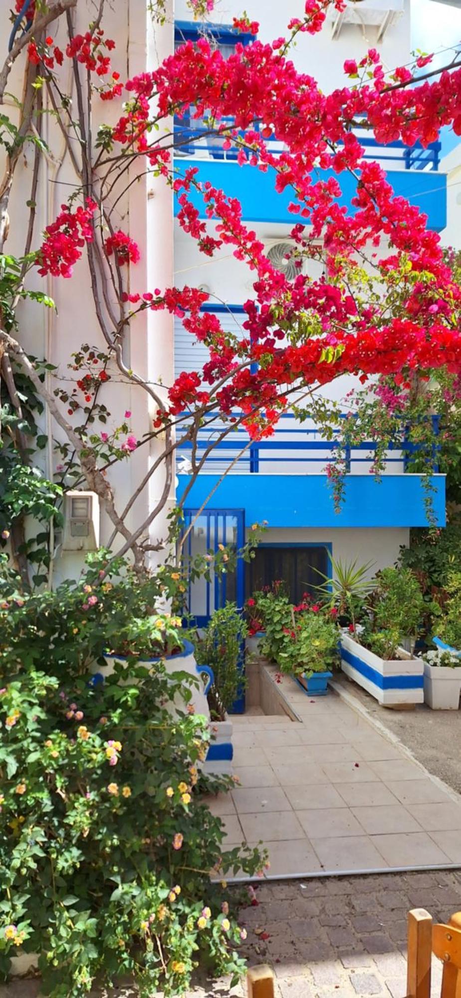 Blue Sky Apartment Palaiochora Luaran gambar